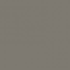 Γκρι Χρώμα αυτοκινήτου 09V-SUBARU