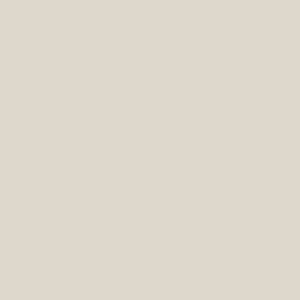 Λευκό Χρώμα αυτοκινήτου 1050-SKODA