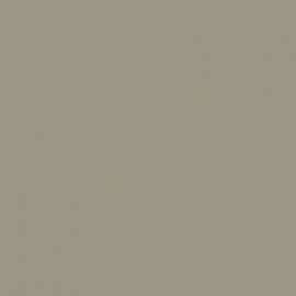 Γκρι Χρώμα αυτοκινήτου 109-RENAULT