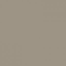 Μπεζ Χρώμα αυτοκινήτου 114-RENAULT