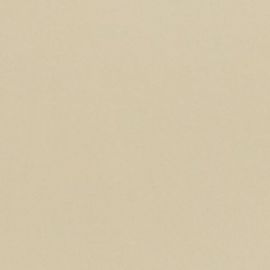 Λευκό Χρώμα αυτοκινήτου 11U-DAEWOO