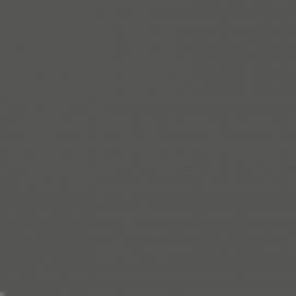 Γκρι Χρώμα αυτοκινήτου 1305-FORD