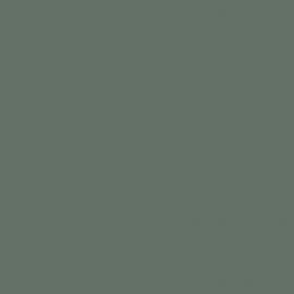 Πράσινο Χρώμα αυτοκινήτου 1459-FORD