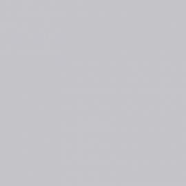 Γκρι Χρώμα αυτοκινήτου 149-OPEL