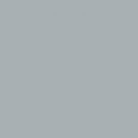 Γκρι Χρώμα αυτοκινήτου 160-TOYOTA