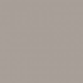 Μπεζ Χρώμα αυτοκινήτου 1658-FORD