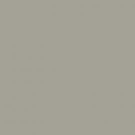 Γκρι Χρώμα αυτοκινήτου 187-OPEL