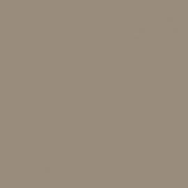 Μπεζ Χρώμα αυτοκινήτου 191-G5N-OPEL