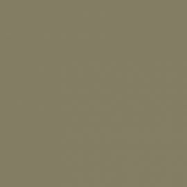 Πράσινο Χρώμα αυτοκινήτου 191-RENAULT