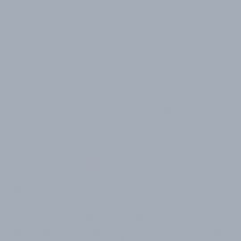 Γκρι Χρώμα αυτοκινήτου 1C8-TOYOTA