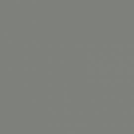 Γκρι Χρώμα αυτοκινήτου 1G6-TOYOTA