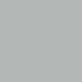 Γκρι Χρώμα αυτοκινήτου 1J2-TOYOTA