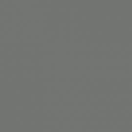 Γκρι Χρώμα αυτοκινήτου 1MDEWHA-FORD