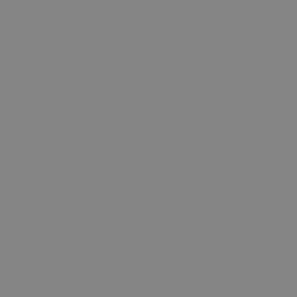 Γκρι Χρώμα αυτοκινήτου 1S-MAZDA