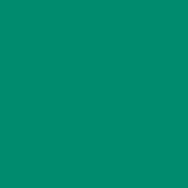 Πράσινο Χρώμα αυτοκινήτου 1VS-SUZUKI