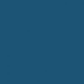 Μπλε Χρώμα αυτοκινήτου 2009-FORD