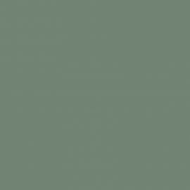 Πράσινο Χρώμα αυτοκινήτου 2083-FORD