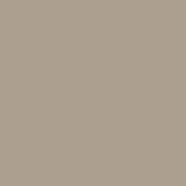 Μπεζ Χρώμα αυτοκινήτου 230/A-FIAT