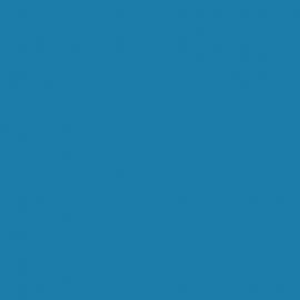 Μπλε Χρώμα αυτοκινήτου 2481C-FORD