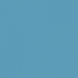 Μπλε Χρώμα αυτοκινήτου 2482-FORD