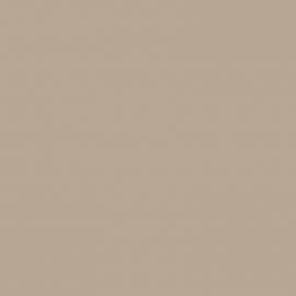 Μπεζ Χρώμα αυτοκινήτου 2704-FORD