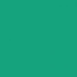 Πράσινο Χρώμα αυτοκινήτου 2740-FORD