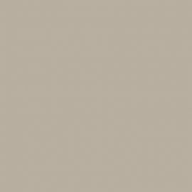 Γκρι Χρώμα αυτοκινήτου 2PNC-FORD