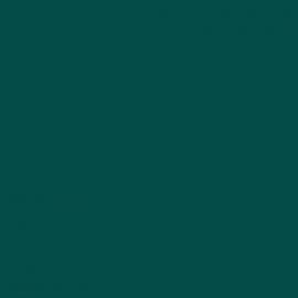 Πράσινο Χρώμα αυτοκινήτου 301/A-FIAT