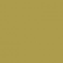 Κίτρινο Χρώμα αυτοκινήτου 306-RENAULT