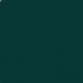 Πράσινο Χρώμα αυτοκινήτου 307-SUBARU