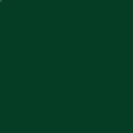 Πράσινο Χρώμα αυτοκινήτου 312/B-FIAT