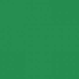 Πράσινο Χρώμα αυτοκινήτου 343/A-FIAT