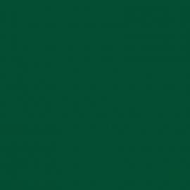 Πράσινο Χρώμα αυτοκινήτου 352/A-FIAT