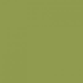 Πράσινο Χρώμα αυτοκινήτου 354/A-FIAT