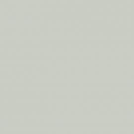 Λευκό Χρώμα αυτοκινήτου 369-RENAULT