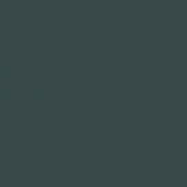 Γκρι Χρώμα αυτοκινήτου 36C-MAZDA