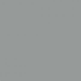 Γκρι Χρώμα αυτοκινήτου 38P-FORD