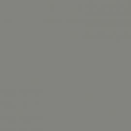 Γκρι Χρώμα αυτοκινήτου 438-SUBARU