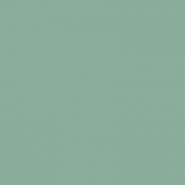 Πράσινο Χρώμα αυτοκινήτου 456-RENAULT