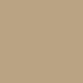 Μπεζ Χρώμα αυτοκινήτου 491-OPEL