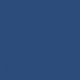 Μπλε Χρώμα αυτοκινήτου 499-RENAULT