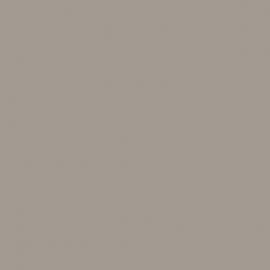 Μπεζ Χρώμα αυτοκινήτου 4N5-TOYOTA