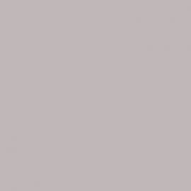 Μπεζ Χρώμα αυτοκινήτου 4X1-TOYOTA