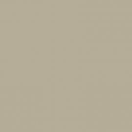 Μπεζ Χρώμα αυτοκινήτου 518-ISUZU