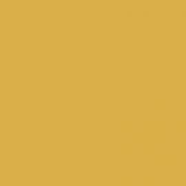 Κίτρινο Χρώμα αυτοκινήτου 535-RENAULT