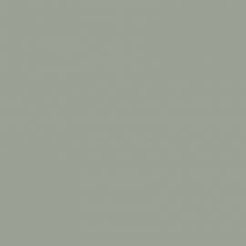 Πράσινο Χρώμα αυτοκινήτου 539-FIAT