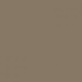 Μπεζ Χρώμα αυτοκινήτου 55U-CHEVROLET