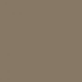 Μπεζ Χρώμα αυτοκινήτου 55U-SUZUKI