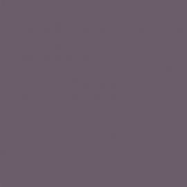 Μωβ Χρώμα αυτοκινήτου 577-RENAULT