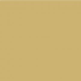 Κίτρινο Χρώμα αυτοκινήτου 593-FIAT